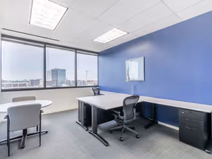 1 Person Virtual Office