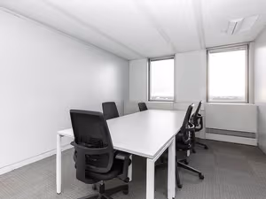 1 Person Virtual Office