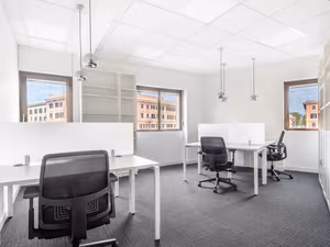 1 Person Virtual Office