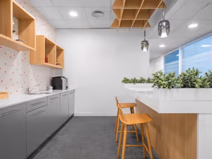 1 Person Private Office