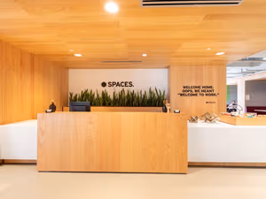 1 Person Virtual Office