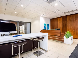 1 Person Virtual Office