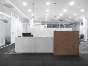 1 Person Virtual Office