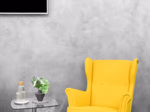 1 Person Virtual Office