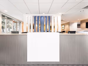 1 Person Virtual Office