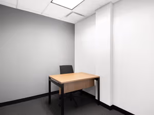 1 Person Virtual Office