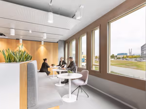 1 Person Virtual Office