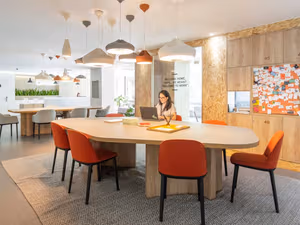 1 Person Virtual Office