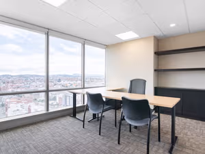 1 Person Virtual Office