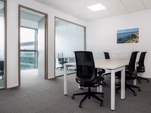 1 Person Virtual Office