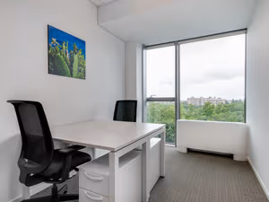 1 Person Virtual Office