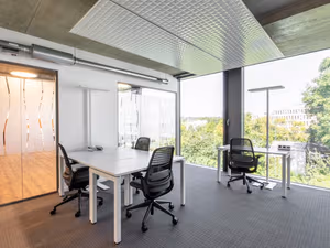 1 Person Virtual Office