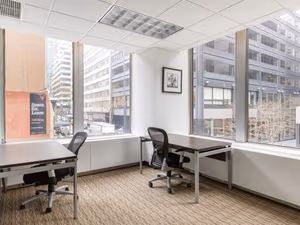 1 Person Virtual Office