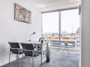 1 Person Virtual Office