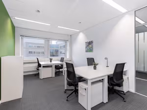 1 Person Virtual Office