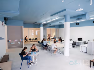 5 Person Shared Office