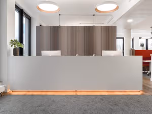 1 Person Virtual Office