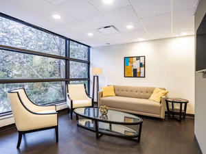 1 Person Virtual Office