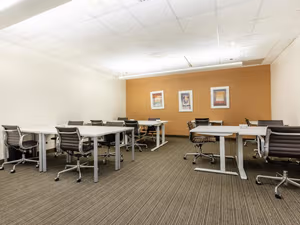 1 Person Virtual Office