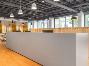 1 Person Virtual Office