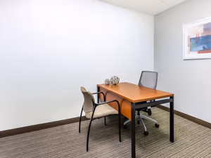 1 Person Virtual Office