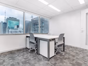 1 Person Virtual Office