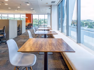 1 Person Virtual Office