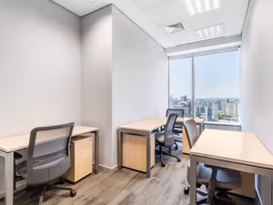 1 Person Virtual Office