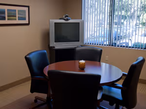 1 Person Virtual Office