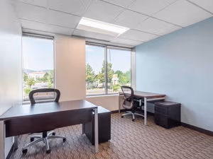 1 Person Virtual Office