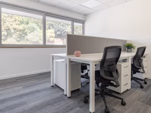 1 Person Virtual Office