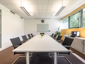 1 Person Virtual Office