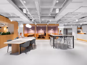 1 Person Virtual Office