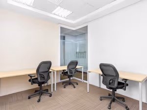 1 Person Virtual Office