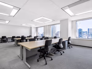 1 Person Virtual Office