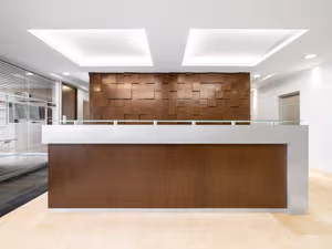 1 Person Virtual Office