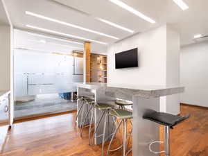 1 Person Virtual Office