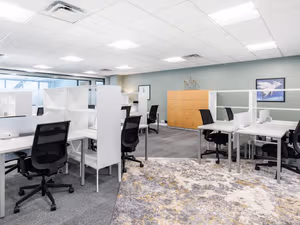 1 Person Virtual Office