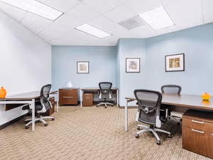 1 Person Virtual Office