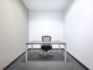 1 Person Virtual Office