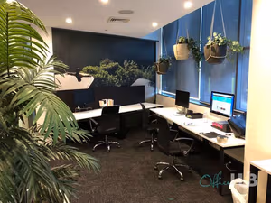 1 Person Shared Office