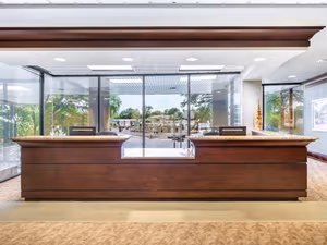 1 Person Virtual Office