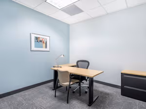 1 Person Virtual Office