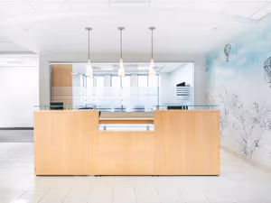 1 Person Virtual Office