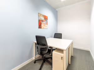 1 Person Virtual Office