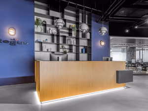 1 Person Virtual Office