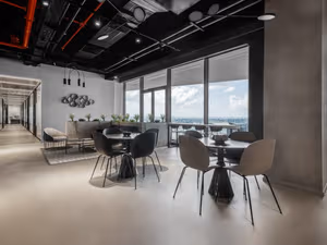 1 Person Virtual Office