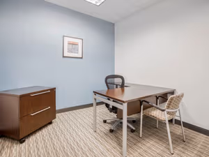 1 Person Virtual Office