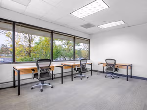 1 Person Virtual Office