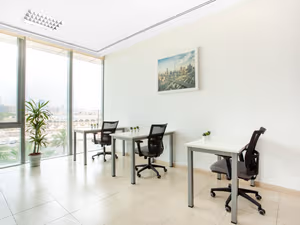 1 Person Virtual Office